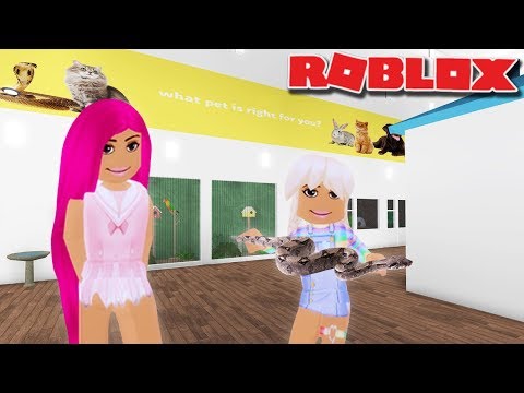 Poppy Gets A Pet Snake Bloxburg Roblox Youtube - how to make pets on bloxburg roblox youtube