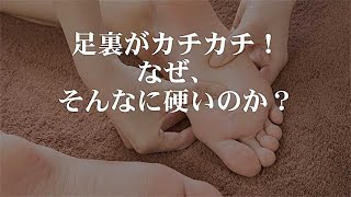 足裏カチカチ なぜそんなに硬いのか 骨格から解説 Youtube 足裏カチカチ なぜそんなに硬いのか 骨格から解説 Youtube
