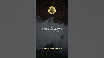سورة الحشر الآية 19 تلاوة شيخ المنشاوي #اكسبلور