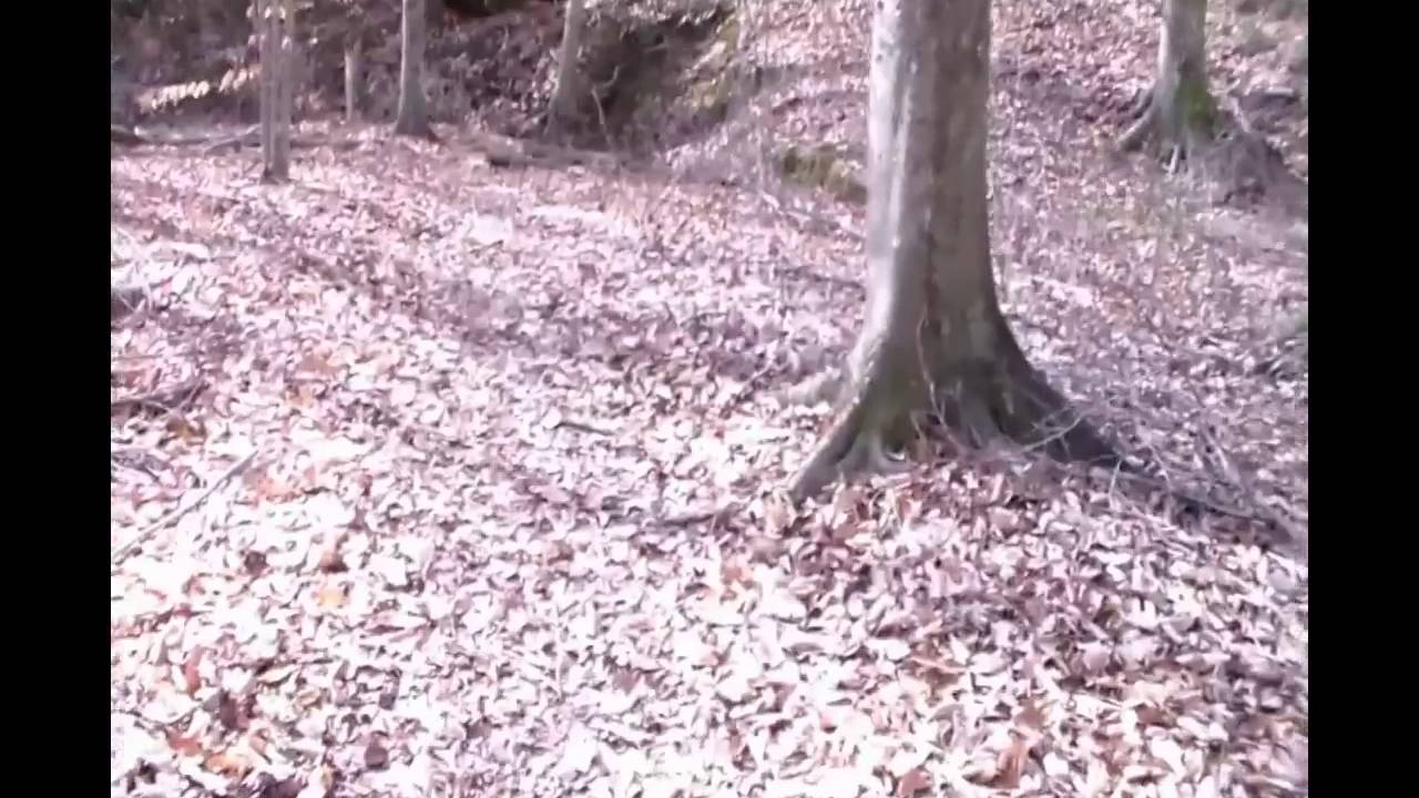 Dan Nicholas Hike 2-2-14