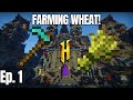 Wheycup - Minecraft Skyblock Ep. 1 WHEAT!