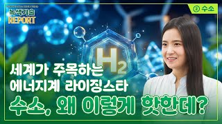 나야, 수소 👀 수소? 너 누군데?ㅣ탄소중립에서 빠질 수 없는 키워드, 수소! 지속가능한 미래를 향한 열쇠 🔑ㅣ 2024 녹색기술 리포트