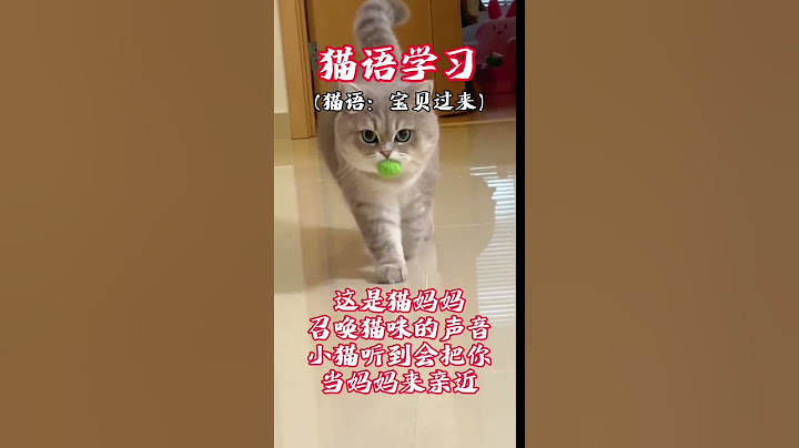 猫妈妈召唤小猫咪的声音#猫语十级 #猫叫声吸引猫 #动物的迷惑行为 #那种声音可以快速吸引猫咪#新手养猫#万万没想到#shorts