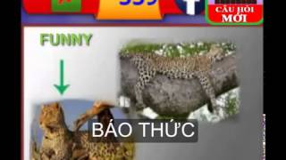Đáp án game đuổi hình bắt chữ (321 340) Bắt Chữ NEW We Play screenshot 4