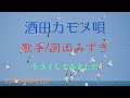 曲名/酒田カモメ唄 歌手/羽山みずき キー/-1 cover