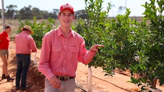 Elders Improves Efficiency, Data Transparency, and the User Experience | Workday