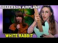 Jefferson airplane white rabbit  singer bassist musician reacts