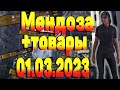 DIVISION 2  МЕНДОЗА + ТОВАРЫ 01.03.23