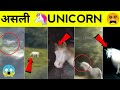 5 UNICORN CAUGHT ON CAMERA &amp; SPOTTED IN REAL LIFE|5Unicorns Caught on Camera &amp; Spotted In Real Life!