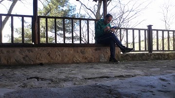 LYRE 10 STRINGS. LYRE OF KING DAVID.