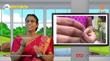 First Bell 2.0 STD 05 Basic Science Class 01