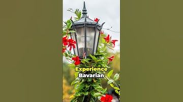 How About A Quick Road Trip