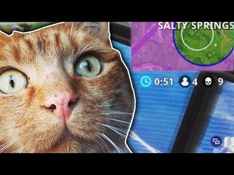 MY CAT PLAYS FORTNITE! [9 KILL GAMEPLAY] - YouTube - 480 x 360 jpeg 38kB