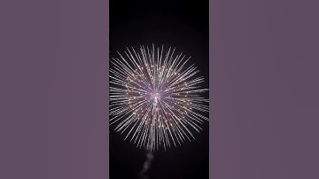 8" Brocade Crown to multicolor w/Triple Pistil Rise/Tail #yungfengdisplayshells #永丰8寸锦冠变斑带三重蕊升尾