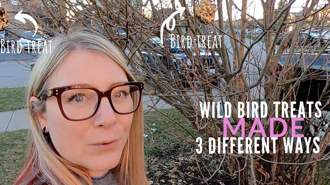 Лакомства для диких птиц (приготовленные тремя разными способами)