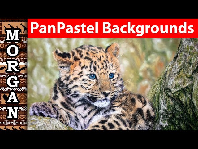 Pan pastel - How to do Thin Lines - Jason Morgan wildlife art