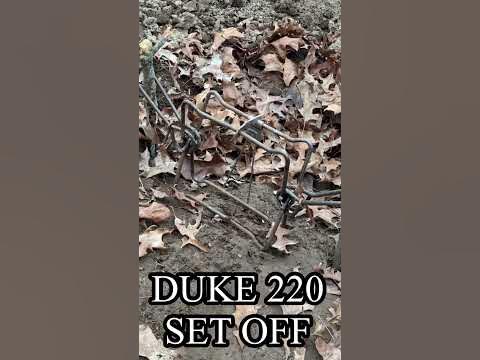 Setting off a Duke 220 trap - YouTube