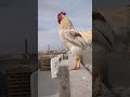 ШЇЩЉШ Щ Ш Щ ЩЉ ЩЉШ Щ Ш ЩЉрџ Єрџ Єрџ Єрџ Є ШЇЩЉШ Щ Ш Щ ЩЉ ЩЉШ Щ Ш ЩЉрџ Єрџ Єрџ Єрџ Є