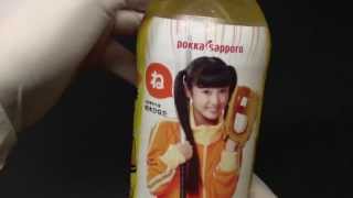 ポッカサッポロ　がぶ飲みパワースカッシュ　500ml