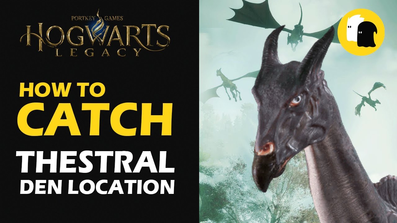 How to Catch Testral in Hogwarts Legacy Thestral Den Location YouTube