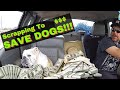 Scrap Yard Trip! I Donated All My Scrap Money To Save Dogs!