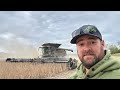 Big day of soybean harvest with Fendt Ideal 9t