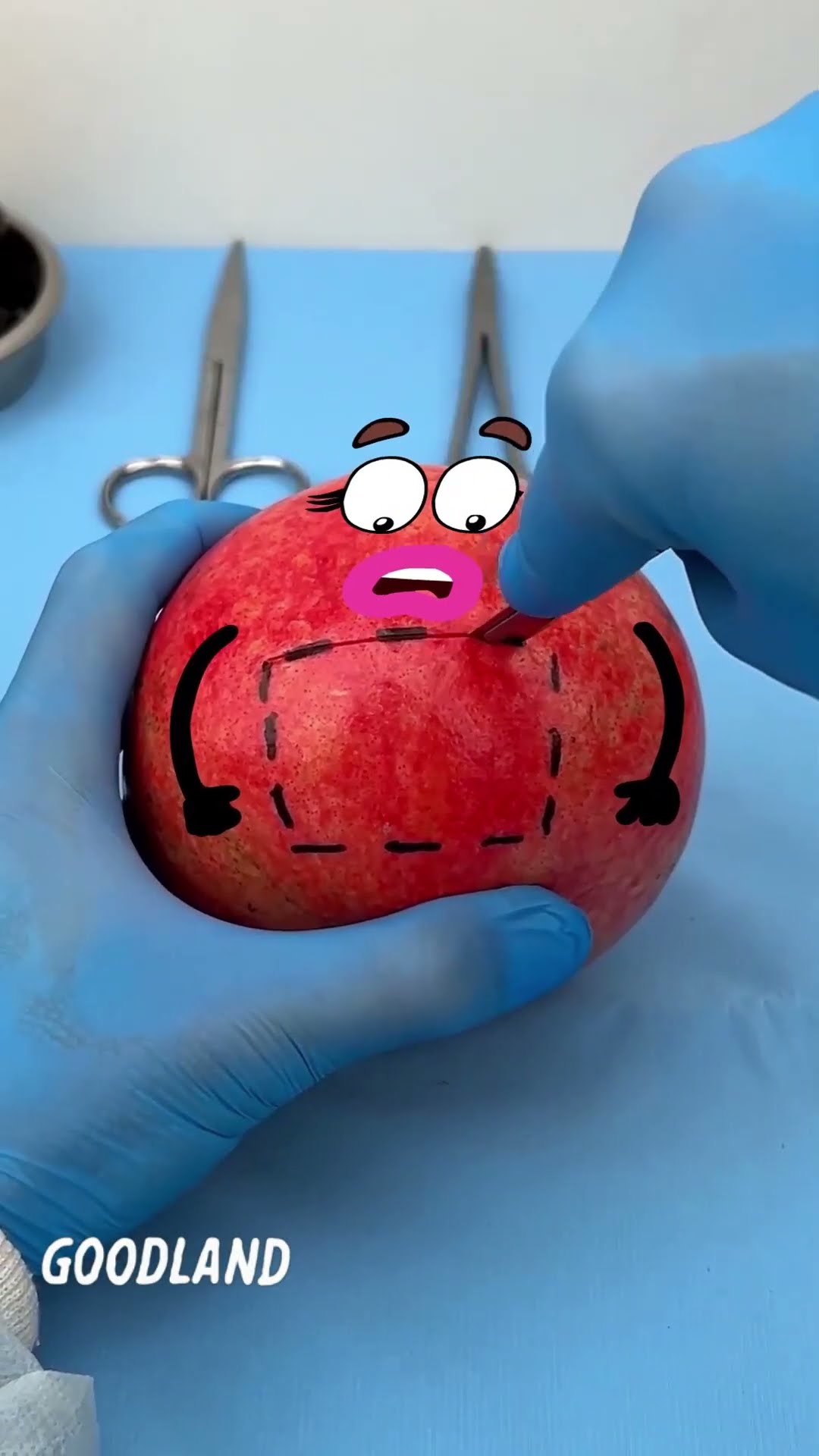 Goodland | Pomegranate operation, raspberry birth ? #doodles #animation #cartoon #GOODLAND