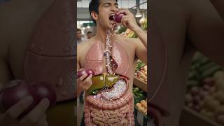 What Happens Inside Your Body When You Eat an Onion? | 3D Digestion Animation