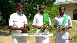 Groundnut cultivation gives loss to farmers at Salem | Tamil Nadu | News7 Tamil |