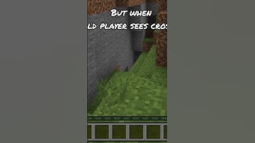 new players when they see cross vs old players when they see cross ☠️💀#minecraft #skulledit