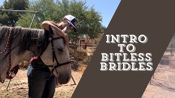 BITLESS BRIDLES // Explaining the Crossunder, Sidepull, and Bosal