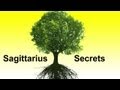 Mula Nakshatra (Vedic Astrology) Sagittarius Horoscope Secrets Ep. 18