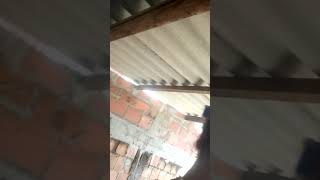 Menina Se Abre Por Mc Gui Ela Queria Ter Um Dia De Princesa