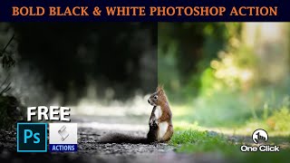 Free Black & White Photoshop Action | polucc