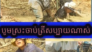 Catching fishes បូមស្រះចាប់ត្រី @CountrysideinCambodia-vr1gh