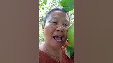 ngambil buah Maja pahit buat obat herbal#minivlog #keseharianiburumahtangga #vlog .