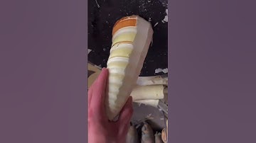 The process of slicing young bamboo shoots. #shorts