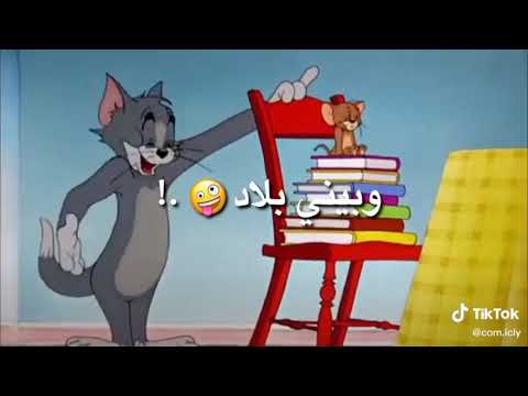 تروح فين من اللي بيحبك