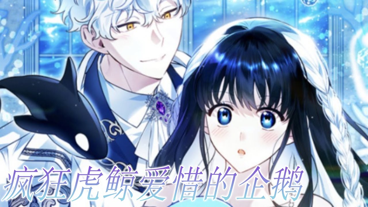 更新啦🔔🔔《疯狂虎鲸爱惜的企鹅》第1-14话 重生成一只企鹅，却意外被身为天敌的虎鲸盯上！#漫画解说 #漫画 #元气动画