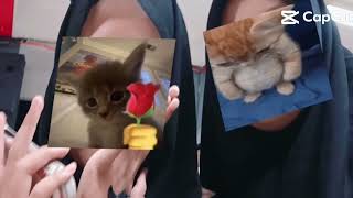 Foto bareng sama BFF/GANG AUTH 🤭😚