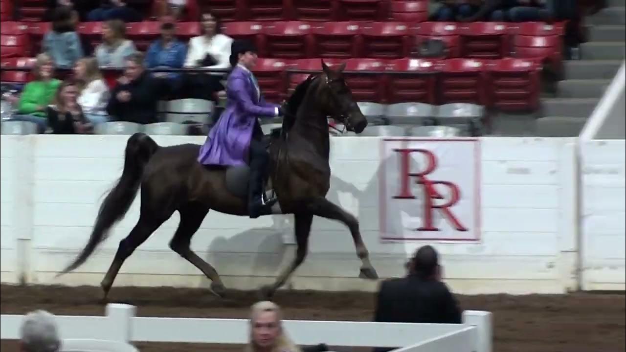 River Ridge Horse Show 2023 YouTube