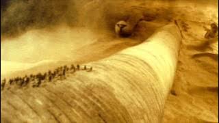 Download lagu DUNE (1984) - Brian Eno - Prophecy Theme