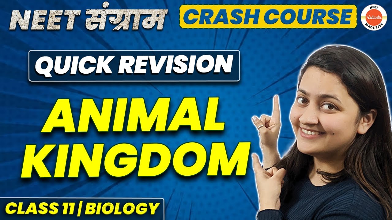 Animal Kingdom in One Shot | Class 11 Biology Chapter 4 | NEET 2023 ...