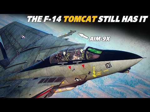 F-14 Tomcat Aim-9x DOGFIGHT | F-15 Eagle | Digital Combat Simulator | DCS |
