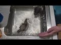 Bath time