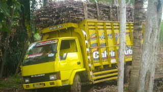 Detik2 truk ragasa muat tebu nyaris terguling