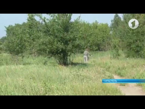 Осторожно, клещи!
