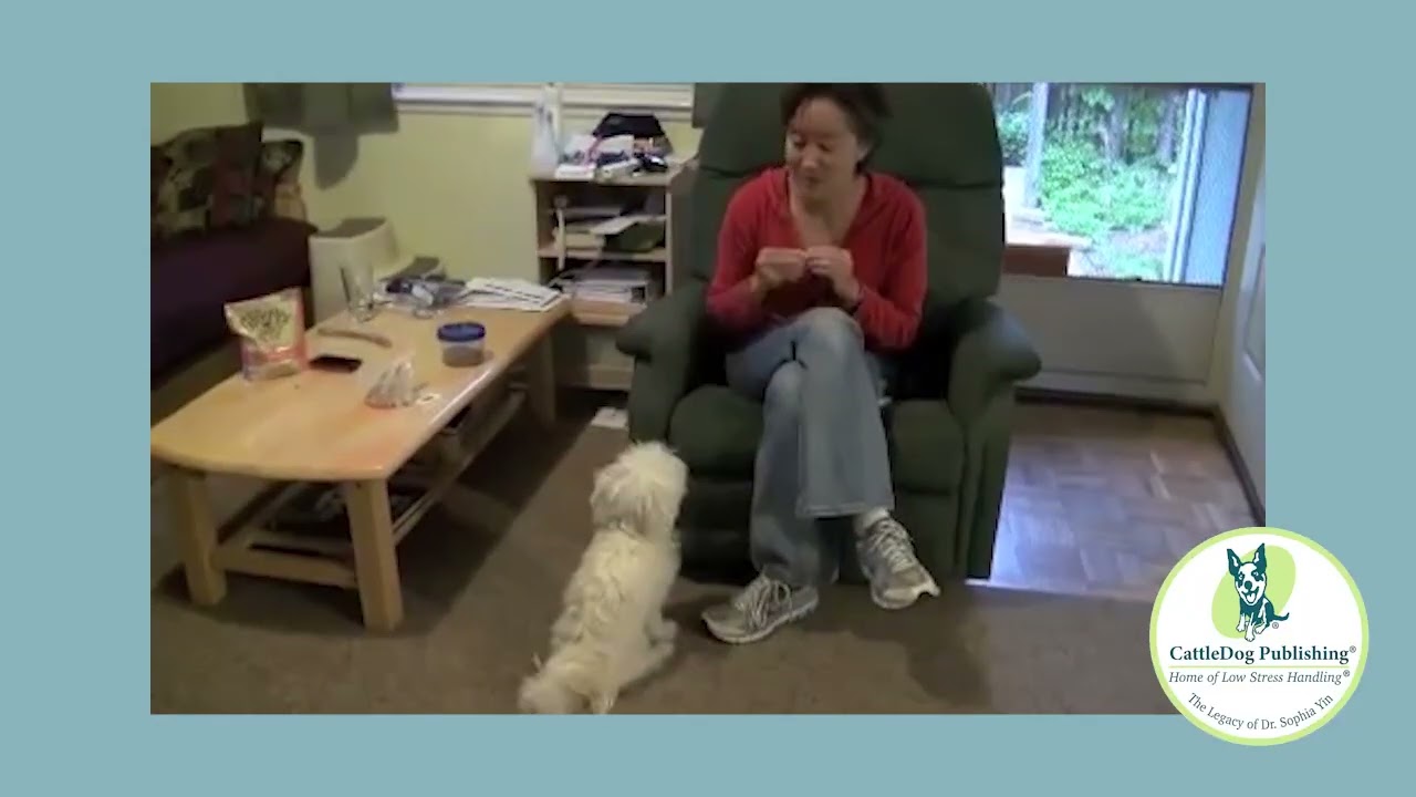 Teaching a Dog to Sit Politely Rather than Jump