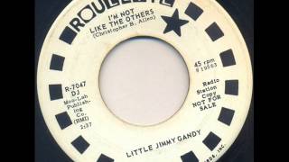I'm Not Like The Others Little Jim Gandy 1969