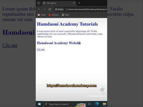 * CSS Selector